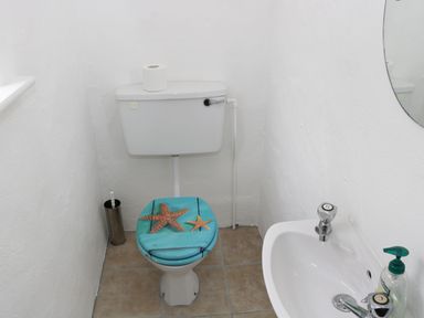 A small bathroom with a toilet featuring a starfish design on the seat and a sink with hand soap at An Teach Ban Rossaveel County Galway