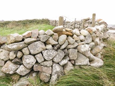 A stone wall with grass and bushes behind it at An Teach Ban in Rossaveel County Galway