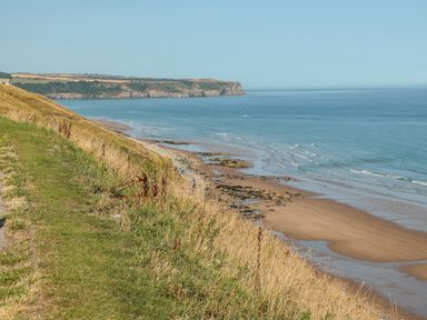 A coastal cliff with grassy path overlooking a sandy beach and ocean at Evening Star @ Engine Shed in Whitby