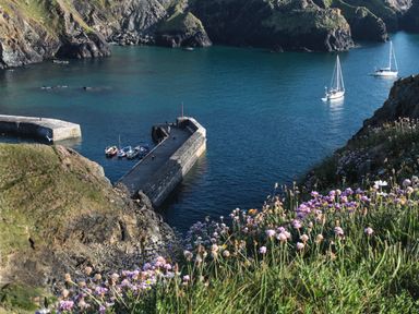 A coastal harbor with a stone pier and small boats in the water surrounded by cliffs and flowers on the hillside at Kober House in Mullion