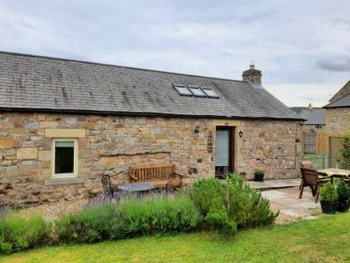 An outdoor area with seating and plants at Hemmel Cottage in Chatton