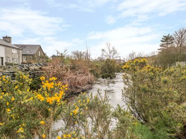A river with yellow flowering shrubs and houses with stone walls in the background at Horeb Chapel House in Tanygrisiau