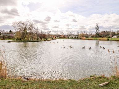 A lake with ducks swimming and houses in the background at Lake View Lodge Marston near Barkston