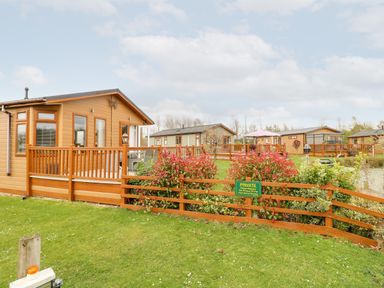 A group of wooden park homes with decks and a wooden fence with bushes in a grassy area at Lake View Lodge in Marston near Barkston