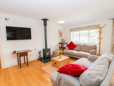 A living room with two sofas red pillows a wood stove a wall-mounted tv and a window at Shippon Barn in Yeovil