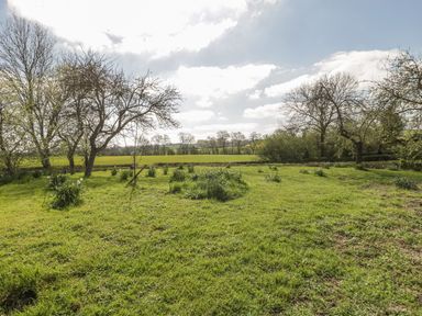 A grassy field with scattered trees and shrubs under a partly cloudy sky at Shippon Barn in Yeovil