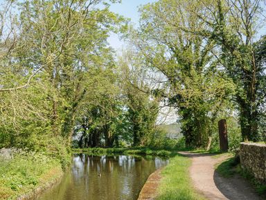 A narrow water canal next to a dirt path surrounded by trees and greenery at Black Cat Bach in Gilwern