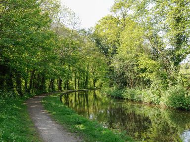 A pathway beside a canal with trees and bushes lining the water at Black Cat Bach in Gilwern