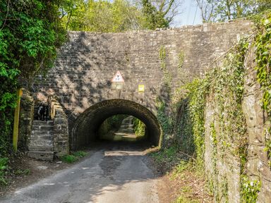 A stone arch bridge over a narrow road with steps and a dog on the left side surrounded by greenery at Black Cat Bach in Gilwern