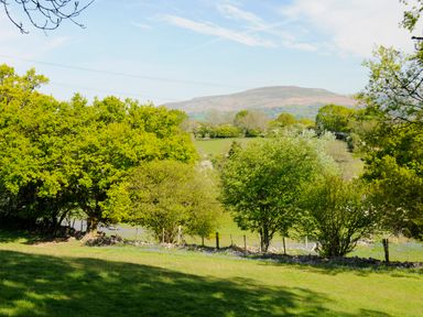 A grassy field with trees and a mountain in the background at Black Cat Bach in Gilwern