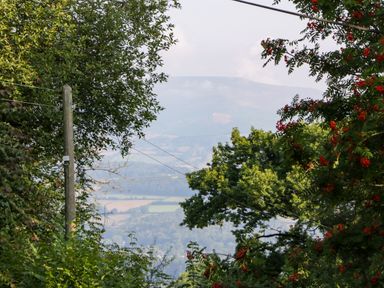 A landscape view through trees with a utility pole and hills in the distance at Black Cat Bach in Gilwern
