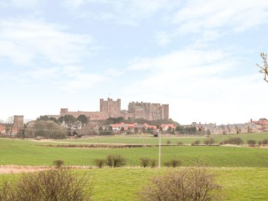 A countryside view with a castle and houses in the background at Lambs Lodge in Bamburgh
