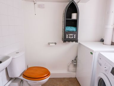 A bathroom with a toilet with a wooden seat a white sink a washing machine a small wall cabinet with a towel and toilet paper at Bari in Aberaeron