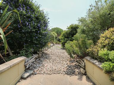 A garden path with pebbles and green bushes on both sides at Bari in Aberaeron