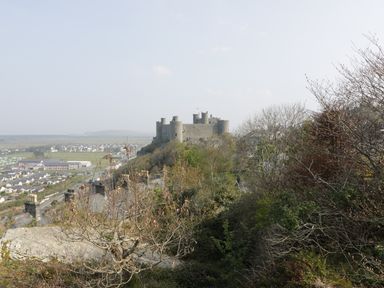 A stone castle on a hill surrounded by trees with a town and fields in the background at Clyd Fan in Harlech