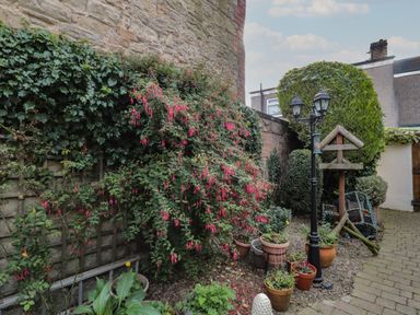 A small garden with potted plants a bird feeder lamp post and trimmed bushes at Victoria Cottage in Amble