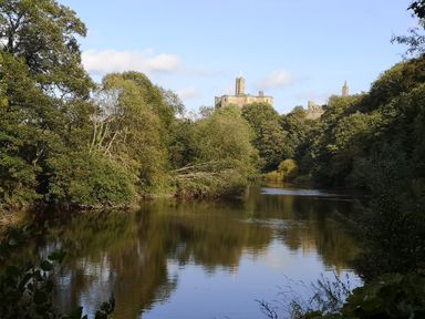 A river surrounded by trees with a castle on a hill in the background at Victoria Cottage in Amble