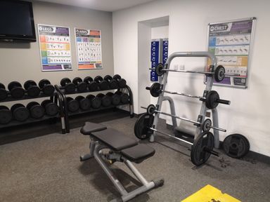 A gym room with dumbbells on racks a bench and weightlifting bars with plates at Victoria Cottage in Amble