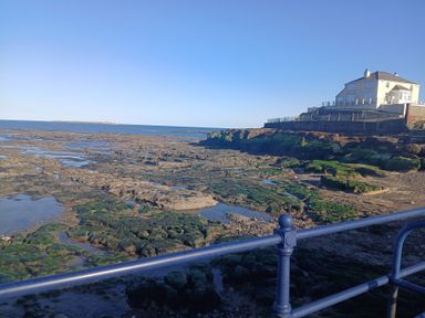 A rocky shore with patches of green algae and a house on a cliff near the sea at Victoria Cottage in Amble