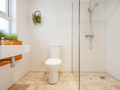A bathroom with a toilet a wall-mounted sink a walk-in shower and plants at Bryn Rhosyn in Nefyn