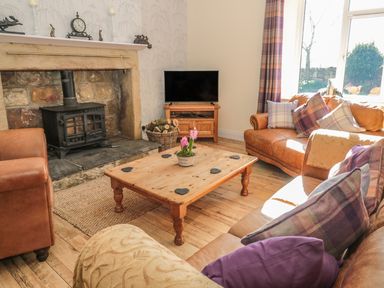 A living room with a wood stove fireplace two leather sofas a wooden coffee table and a TV at Baytree in Alnwick