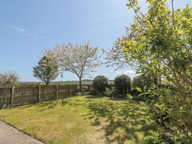 A fenced garden with grass trees and bushes under a clear sky at Baytree in Alnwick