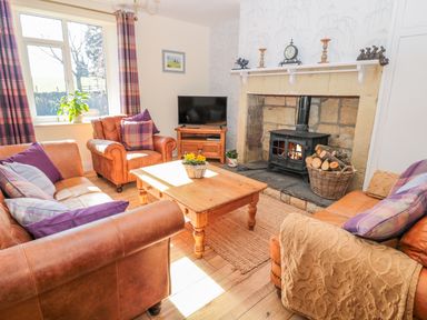 A living room with leather sofas a wooden coffee table a wood burning stove and a television at Appletree in Alnwick