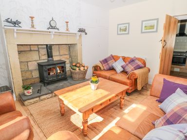 A living room with leather sofas a wooden coffee table and a wood burning stove at Appletree in Alnwick