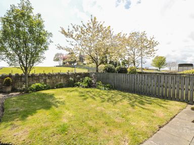 A backyard with grass trees a stone wall and wooden fence at Appletree in Alnwick