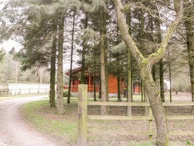 A dirt road curving past a wooden fence with trees and a wooden cabin in the background at Chloes Lodge in Middleton Ryedale