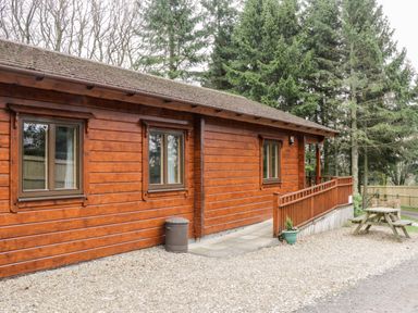 A wooden cabin with three windows a trash bin a small plant and a picnic table outside Chloe's Lodge in Middleton Ryedale