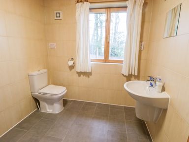 A bathroom with a toilet sink window with curtains and a mirror at Chloes Lodge in Middleton Ryedale