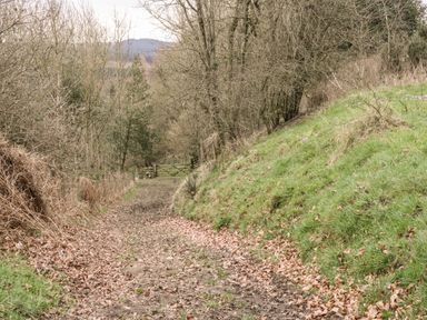 A dirt path with fallen leaves surrounded by trees and grass leading to a wooden gate in a woodland area at Chloes Lodge in Middleton Ryedale