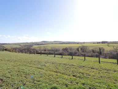 A grassy field with a wire fence and hills in the background under a clear sky at Holly Cottage in Alnwick