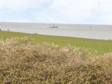 A grassy field with shrubs in the foreground and a sea with a small island and a structure in the background at Bwthyn in Moelfre