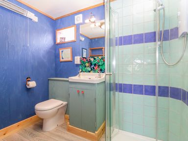 A bathroom with a toilet sink and shower with blue and green tiled walls at Little Willow in Farrington near Child Okeford
