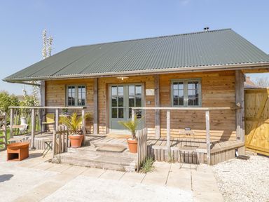 A wooden cabin with a green roof and a small porch with potted plants in front of Little Willow in Farrington near Child Okeford
