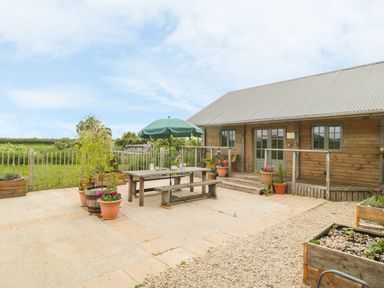 An outdoor patio area with a wooden picnic table, green umbrella, potted plants, and a wooden building at Little Willow in Farrington near Child Okeford