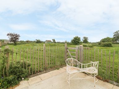 A fenced grassy field with a small shed and a metal chair on a concrete patio at Little Willow in Farrington near Child Okeford