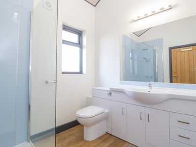 A bathroom with a toilet sink built-in cabinets a large mirror a wooden door and a glass shower enclosure at Bluebell in Sticklinch West Pennard Glastonbury