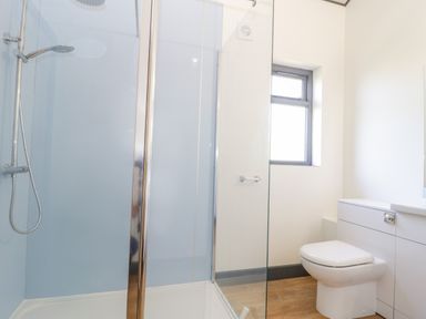 A bathroom with a glass shower enclosure a toilet and a window at Bluebell in Sticklinch West Pennard Glastonbury