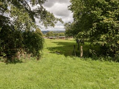 A grassy field with trees and a pathway leading to several small buildings and horses in the distance at Bluebell in Sticklinch West Pennard Glastonbury