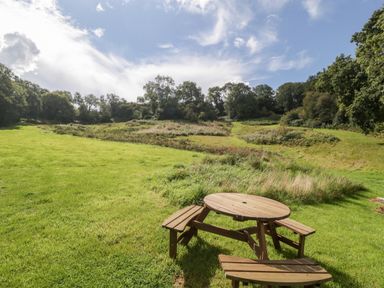 A picnic table on a grassy area with trees and shrubs in the background at Bluebell in Sticklinch West Pennard Glastonbury