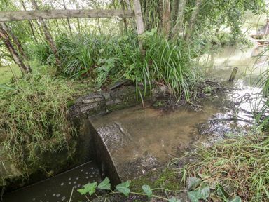 A small concrete structure near a stream surrounded by grass and trees at Bluebell in Sticklinch West Pennard Glastonbury