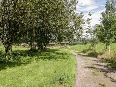 A gravel driveway curving through grass and trees with two buildings in the distance at Bluebell in Sticklinch West Pennard Glastonbury