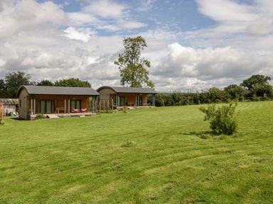Two wooden cabins with curved roofs on a lawn with small shrubs and trees in the background at Bluebell in Sticklinch West Pennard Glastonbury