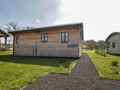 A wooden cabin with three windows and a sign that says Bluebell on a grassy area with a gravel path at Bluebell in Sticklinch West Pennard Glastonbury