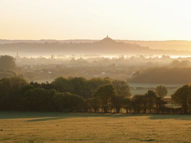 A misty landscape with trees fields and a hill with a tower at Primrose in Sticklinch West Pennard Glastonbury