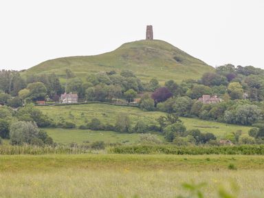 A grassy hill with a tower at the top surrounded by trees and fields at Primrose in Sticklinch West Pennard Glastonbury