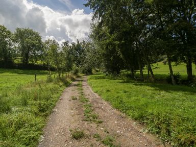 A dirt path lined with grass and trees under a cloudy sky at Primrose in Sticklinch West Pennard Glastonbury